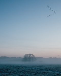 alcohol-free frosty morning