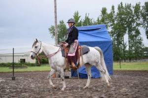 better at horse riding after quitting alcohol