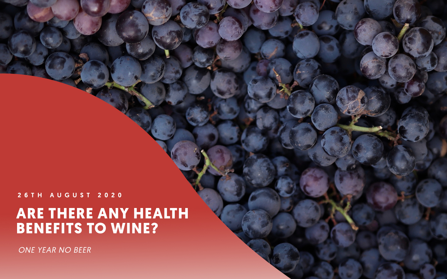 Are there any health benefits to wine?